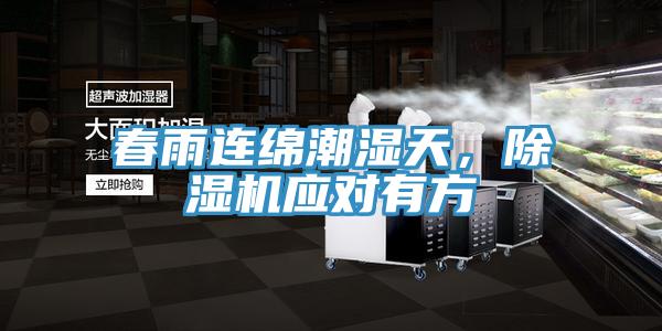春雨連綿潮濕天，深夜福利视频网站應對有方