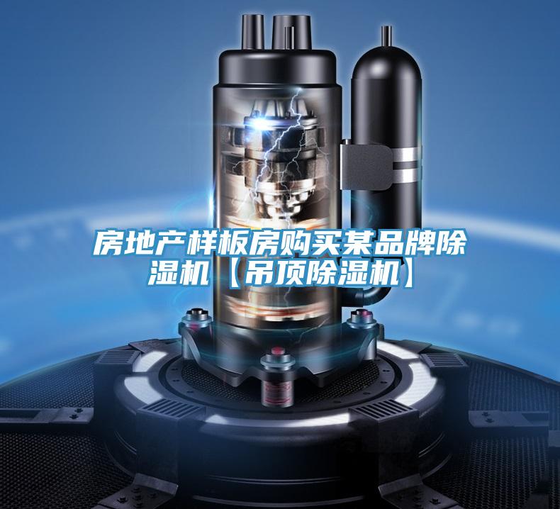 房地產樣板房購買某品牌深夜福利视频网站【吊頂深夜福利视频网站】