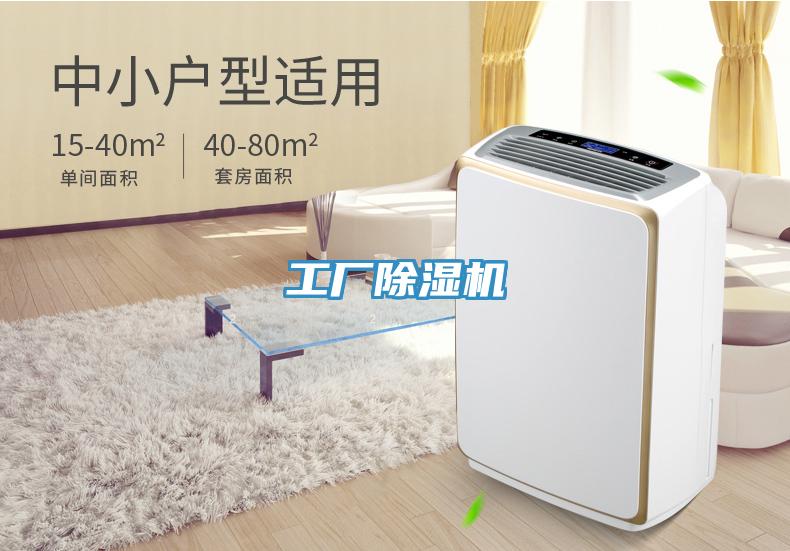 工廠深夜福利视频网站