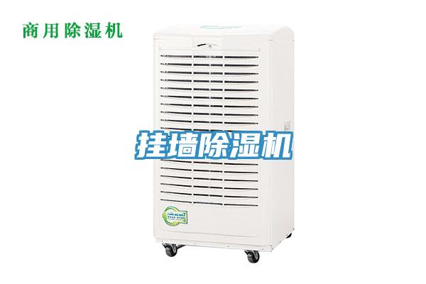 掛牆深夜福利视频网站