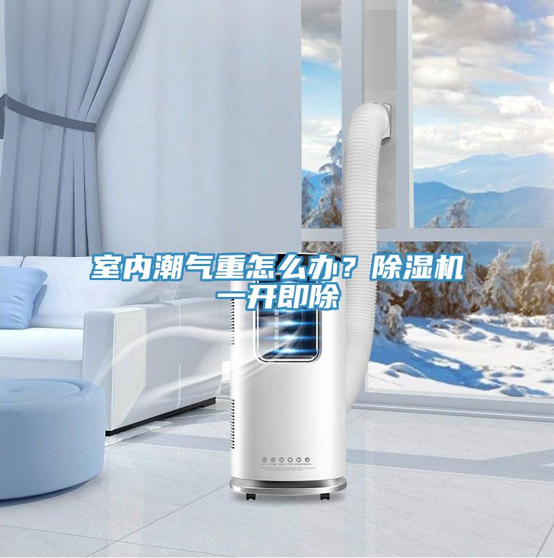 室內潮氣重怎麽辦？深夜福利视频网站一開即除