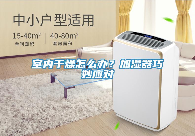 室內幹燥怎麽辦？加濕器巧妙應對