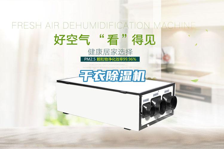 幹衣深夜福利视频网站