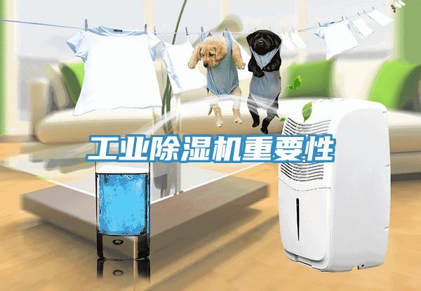工業深夜福利视频网站重要性