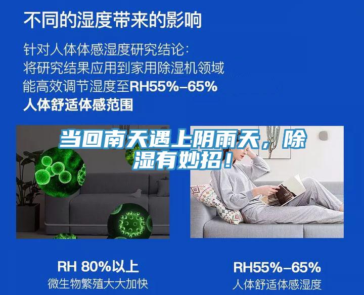 當回南天遇上陰雨天，除濕有妙招！
