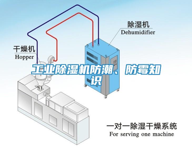 工業深夜福利视频网站防潮、防黴知識