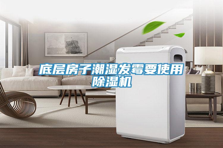 底層房子潮濕發黴要使用深夜福利视频网站