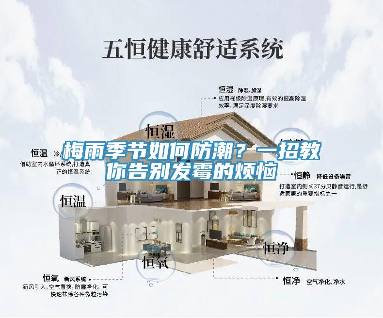 梅雨季節如何防潮？一招教你告別發黴的煩惱