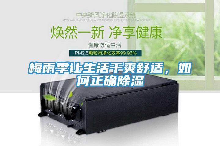 梅雨季讓生活幹爽舒適，如何正確除濕