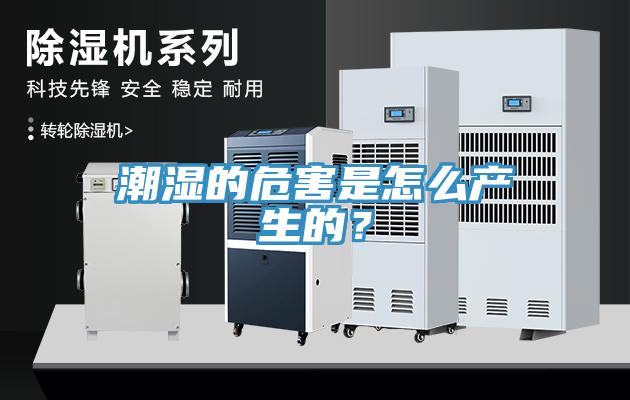 潮濕的危害是怎麽產生的？