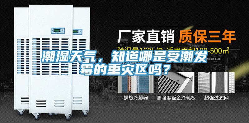 潮濕天氣，知道哪是受潮發黴的重災區嗎？