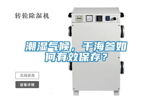 潮濕氣候，幹海參如何有效保存？