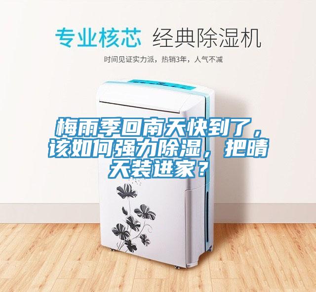 梅雨季回南天快到了，該如何強力除濕，把晴天裝進家？