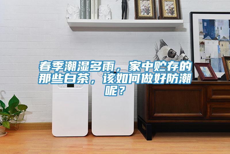 春季潮濕多雨，家中貯存的那些白茶，該如何做好防潮呢？