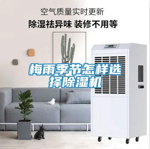 梅雨季節怎樣選擇深夜福利视频网站