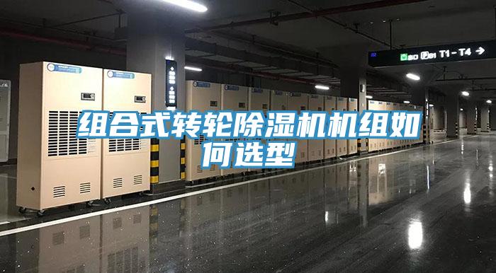 組合式轉輪深夜福利视频网站機組如何選型