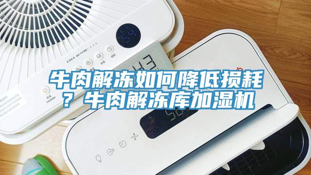 牛肉解凍如何降低損耗？牛肉解凍庫加濕機