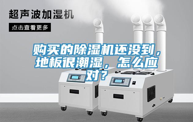 購買的深夜福利视频网站還沒到，地板很潮濕，怎麽應對？