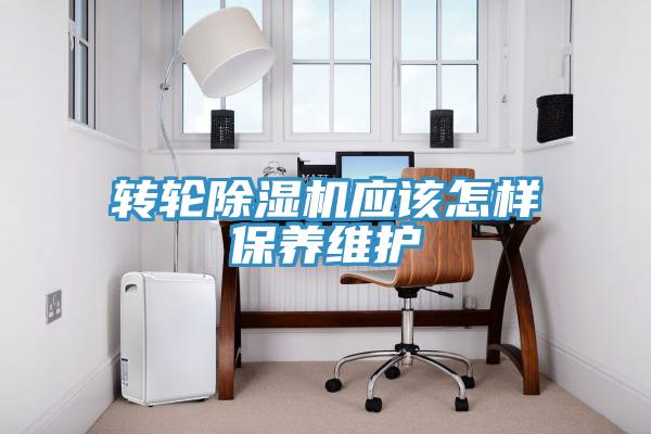 轉輪深夜福利视频网站應該怎樣保養維護