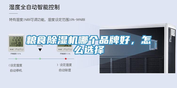 糧食深夜福利视频网站哪個品牌好，怎麽選擇