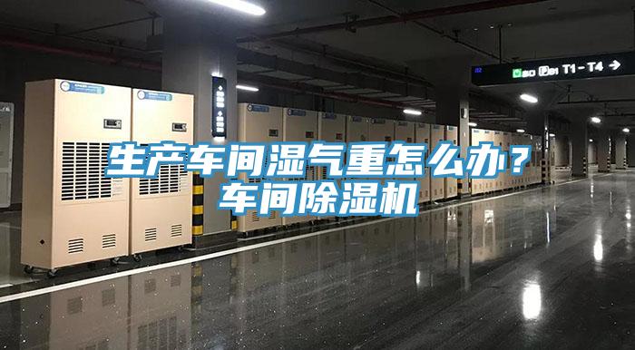 生產車間濕氣重怎麽辦？車間深夜福利视频网站