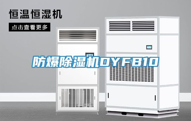 防爆深夜福利视频网站DYFB10