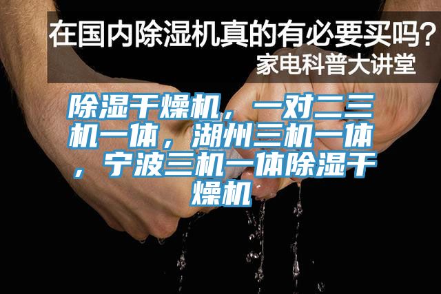 除濕幹燥機，一對二三機一體，湖州三機一體，寧波三機一體除濕幹燥機