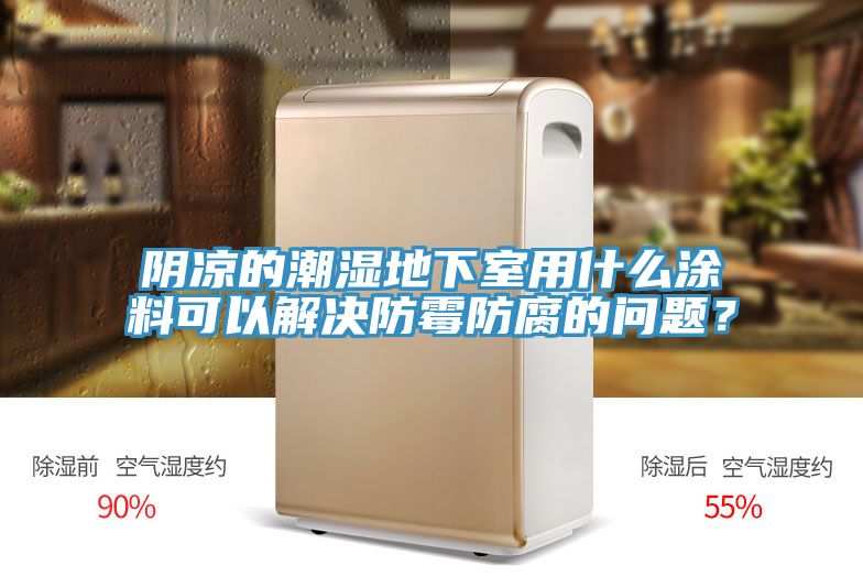 陰涼的潮濕地下室用什麽塗料可以解決防黴防腐的問題？