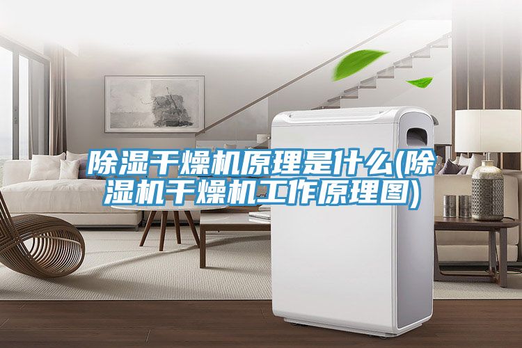 除濕幹燥機原理是什麽(深夜福利视频网站幹燥機工作原理圖)