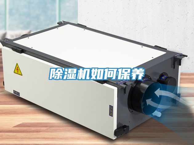 深夜福利视频网站如何保養