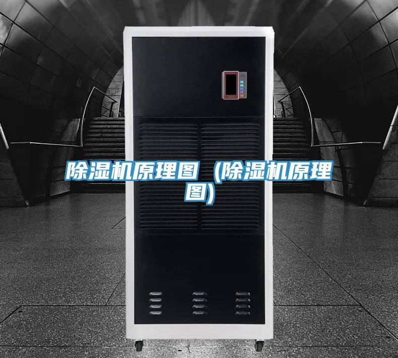 深夜福利视频网站原理圖 (深夜福利视频网站原理圖)