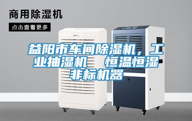 益陽市車間深夜福利视频网站，工業抽濕機  恒溫恒濕非標機器