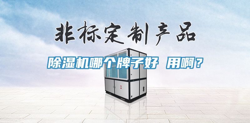 深夜福利视频网站哪個牌子好 用啊？