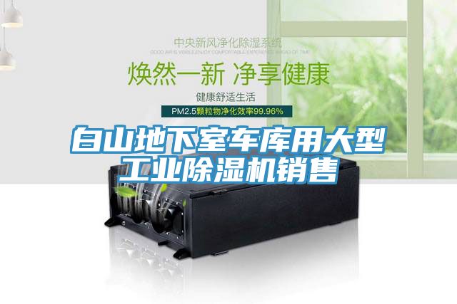 白山地下室車庫用大型工業深夜福利视频网站銷售