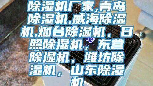 深夜福利视频网站廠家,青島深夜福利视频网站,威海深夜福利视频网站,煙台深夜福利视频网站，日照深夜福利视频网站，東營深夜福利视频网站，濰坊深夜福利视频网站，山東深夜福利视频网站