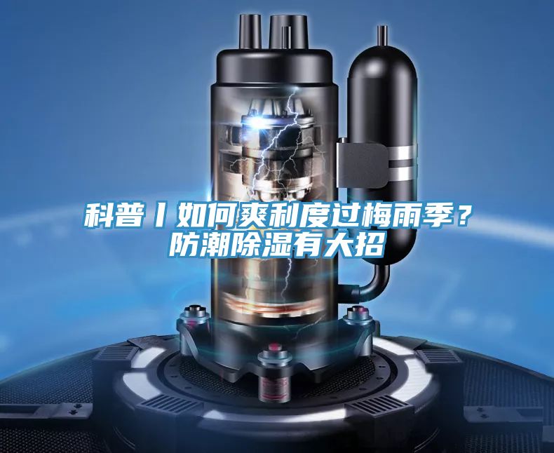科普丨如何爽利度過梅雨季？防潮除濕有大招