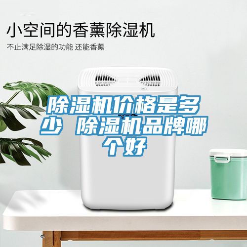 深夜福利视频网站價格是多少 深夜福利视频网站品牌哪個好
