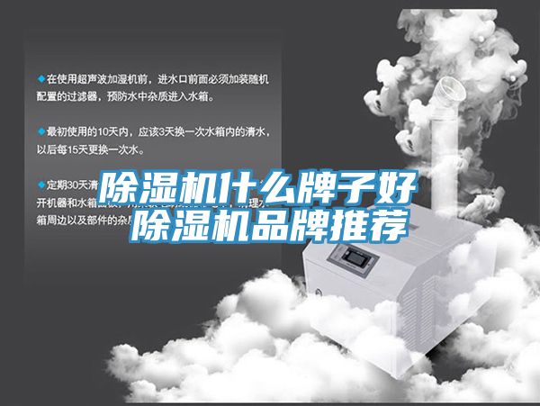 深夜福利视频网站什麽牌子好 深夜福利视频网站品牌推薦