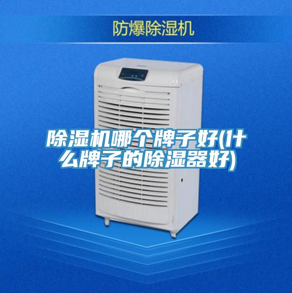 深夜福利视频网站哪個牌子好(什麽牌子的除濕器好)