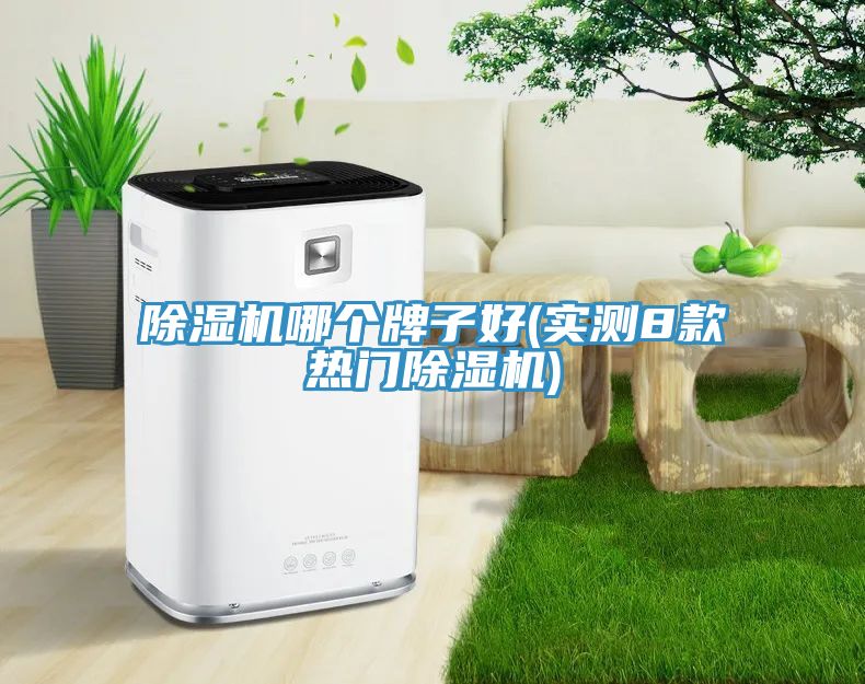 深夜福利视频网站哪個牌子好(實測8款熱門深夜福利视频网站)