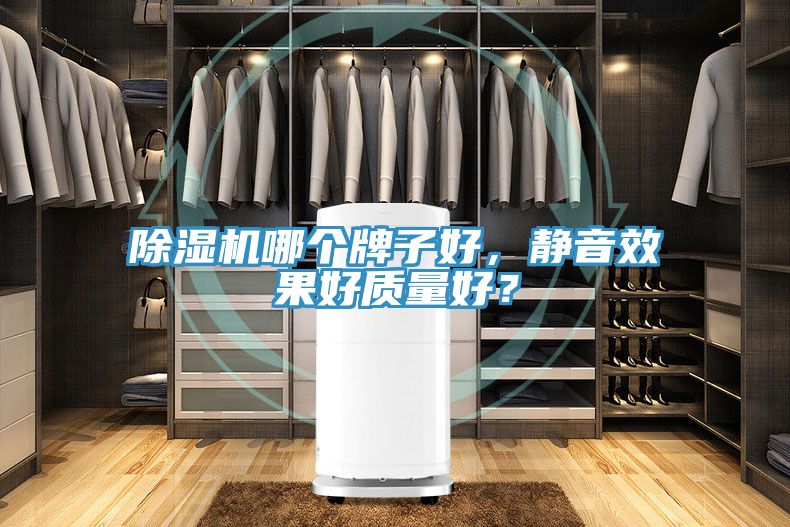 深夜福利视频网站哪個牌子好，靜音效果好質量好？