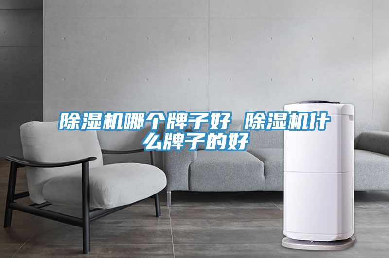 深夜福利视频网站哪個牌子好 深夜福利视频网站什麽牌子的好