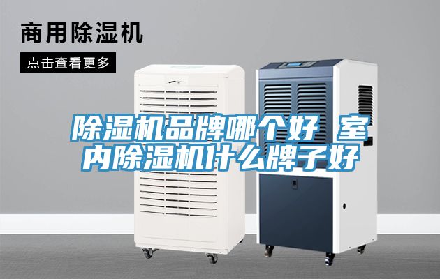 深夜福利视频网站品牌哪個好 室內深夜福利视频网站什麽牌子好