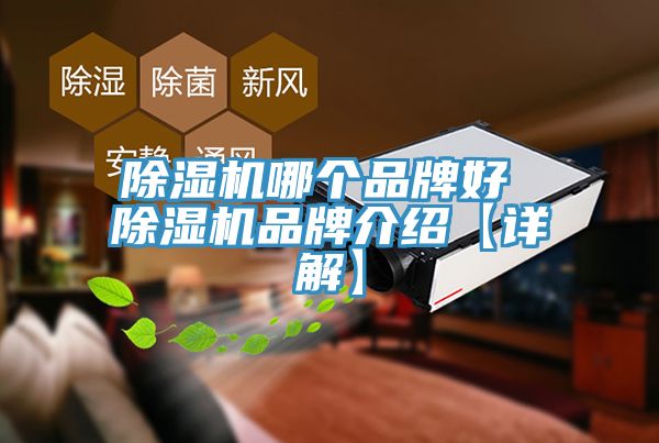 深夜福利视频网站哪個品牌好 深夜福利视频网站品牌介紹【詳解】