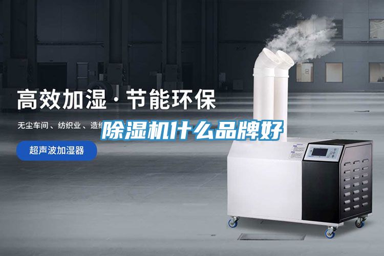 深夜福利视频网站什麽品牌好