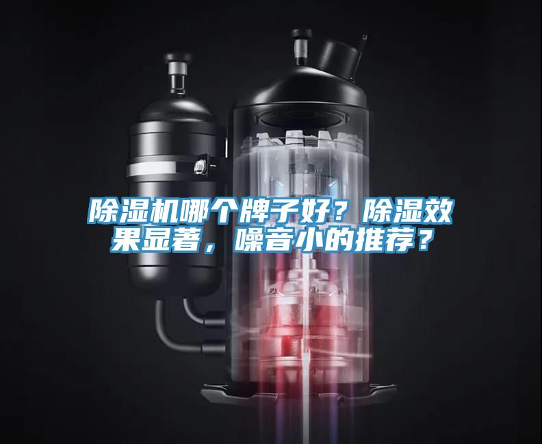 深夜福利视频网站哪個牌子好？除濕效果顯著，噪音小的推薦？