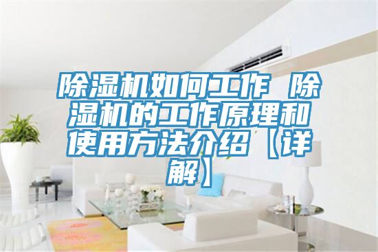 深夜福利视频网站如何工作 深夜福利视频网站的工作原理和使用方法介紹【詳解】