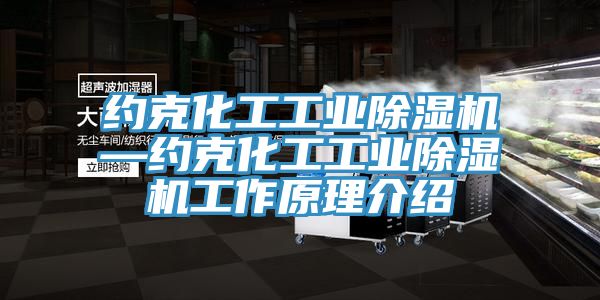 約克化工工業深夜福利视频网站—約克化工工業深夜福利视频网站工作原理介紹