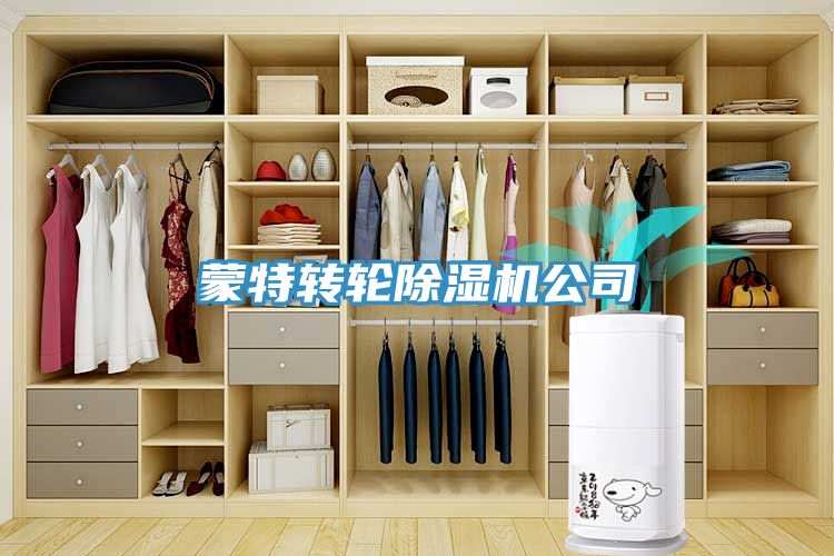 蒙特轉輪深夜福利视频网站公司