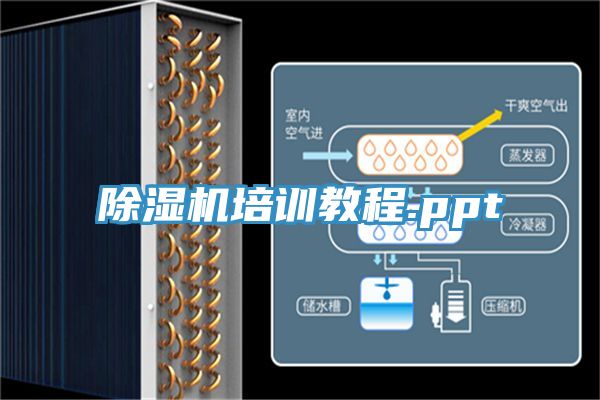 深夜福利视频网站培訓教程.ppt